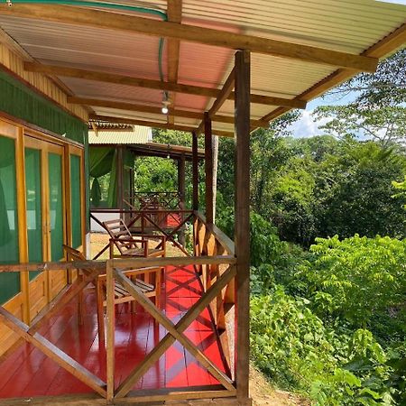 Amazon Acai Lodge Летисия Экстерьер фото