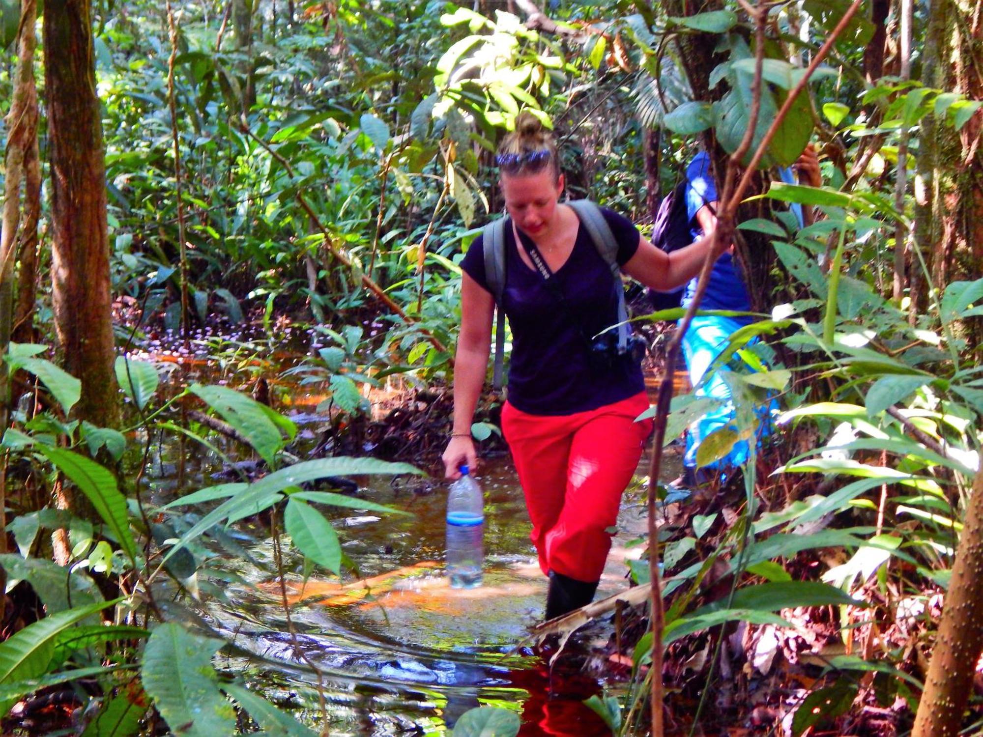 Amazon Acai Lodge Летисия Экстерьер фото